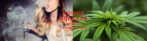 COCAINE Белокуриха
