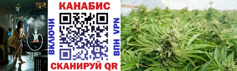 Бошки Шишки THC 21%  цена   блэк спрут tor  Реутов 
